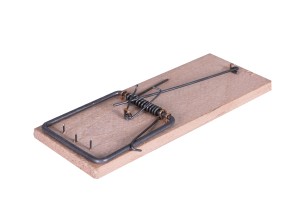 Szczurołapka drewniana