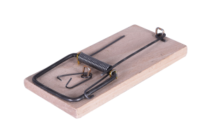 Myszołapka drewniana FSC 100%