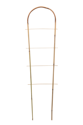 Drabinka bambusowa Typ U-120cm