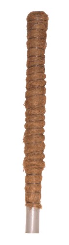 Palik kokosowy 120cm