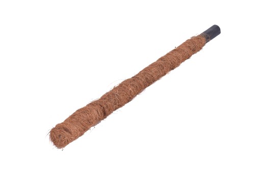 Palik kokosowy  60cm
