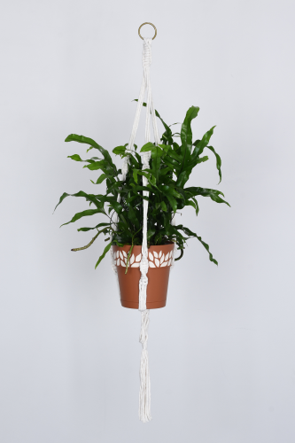 Makrama do doniczek "Rapid", bawełna