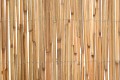 Mata trzcinowa 100x600 cm 1