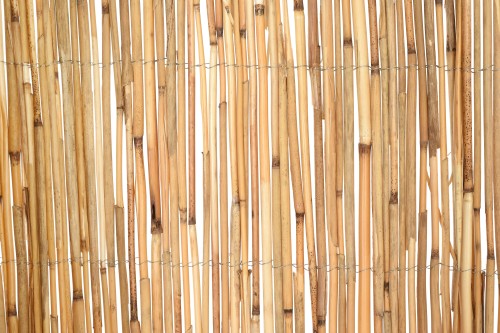 Mata trzcinowa 180x600 cm