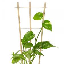 Drabinka bambusowa S3  45cm