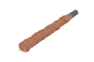 Palik kokosowy  40cm