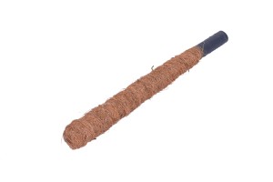 Palik kokosowy  50cm